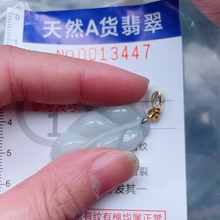 翡翠未镶嵌吊坠(赠链)