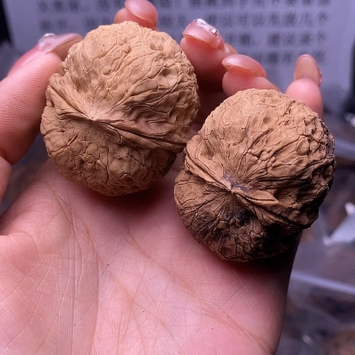 核桃云南野生铁核桃120号40mm