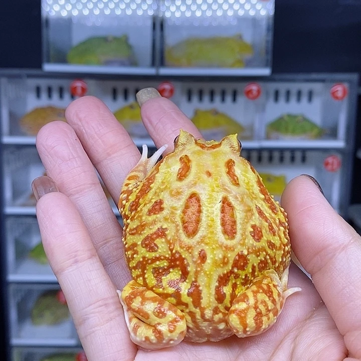 特价秒杀现货特价