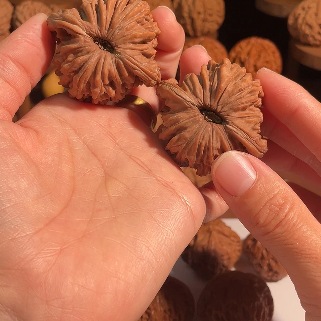 把件文玩核桃47楼子小黄