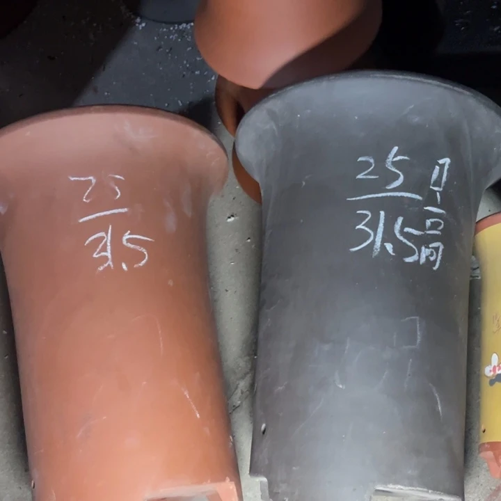 周三周四自作自受周三周四