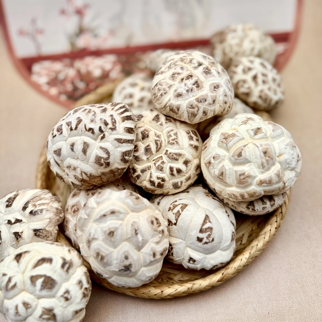 【干货】(极)白花菇