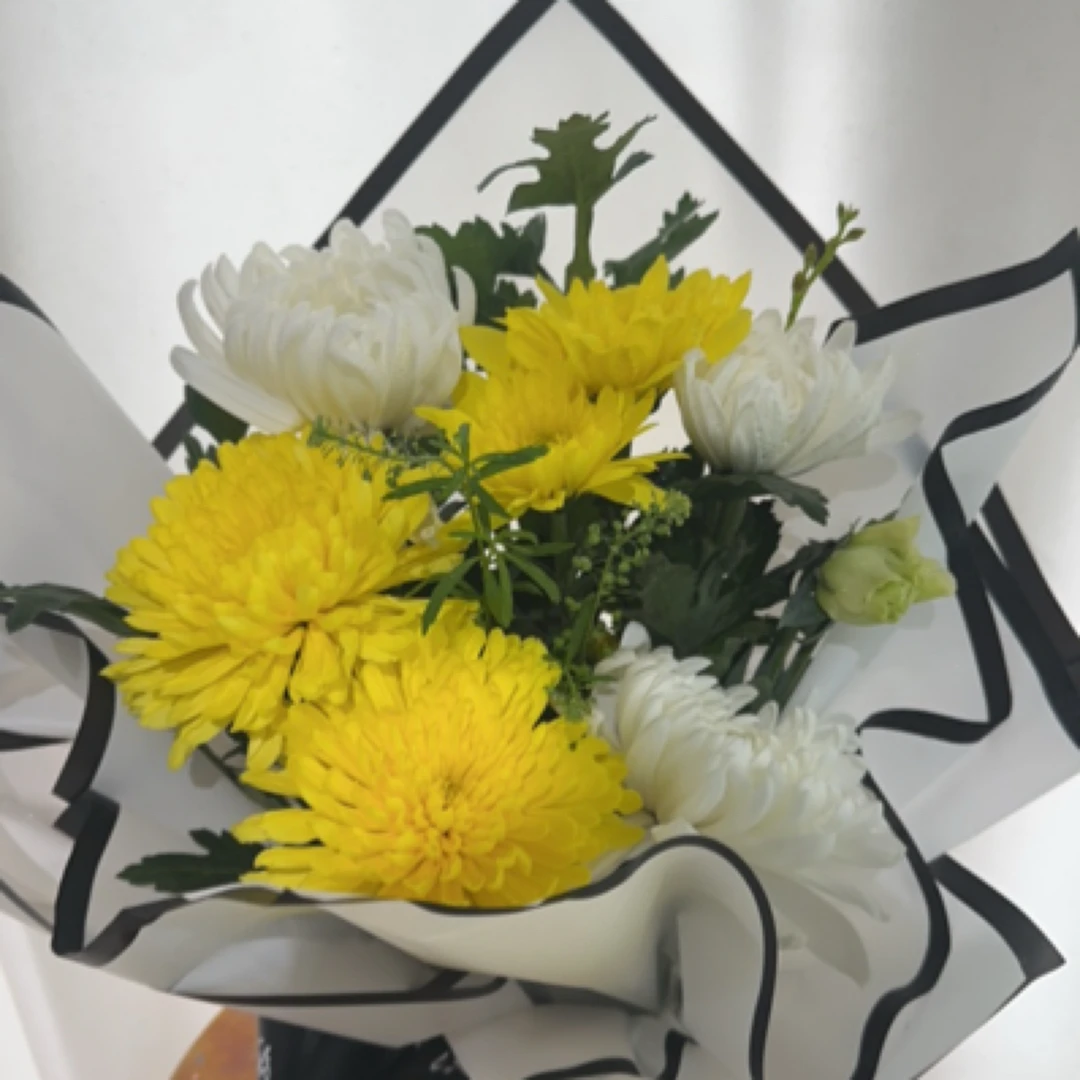 清明节菊花花束5支装