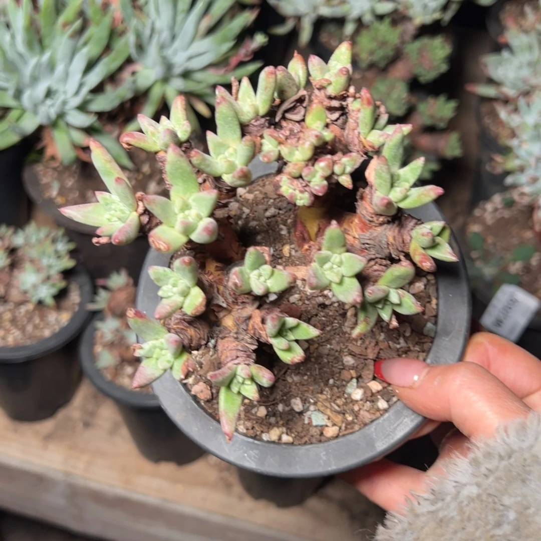 693哈哈哈哈哈哈哈哈哈