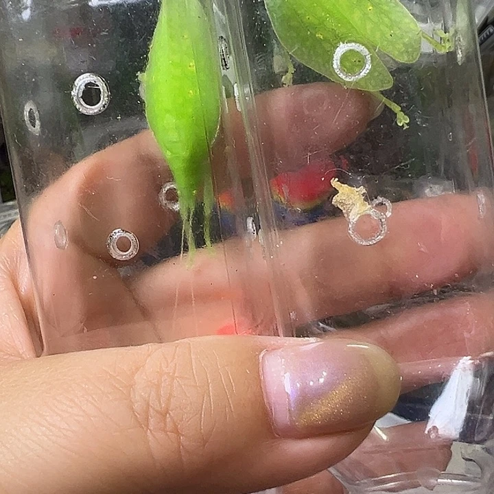 小***虎哈哈哈哈哈哈哈哈哈
