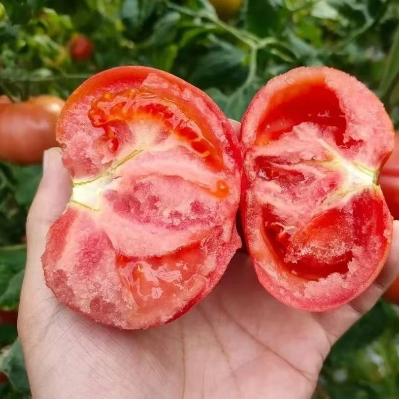 农家牛角辣椒番茄