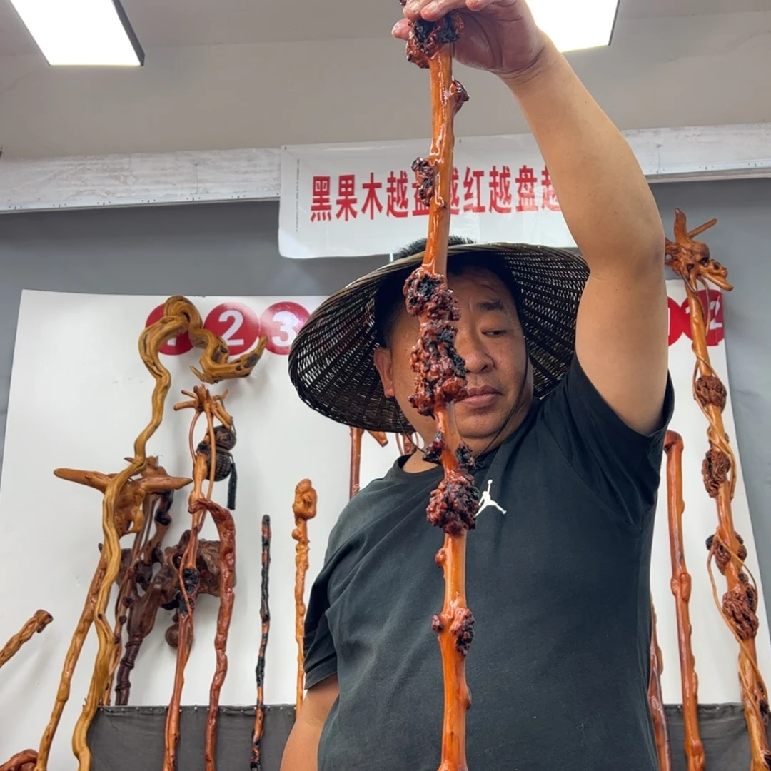 前***果黑果木其他黑果木607