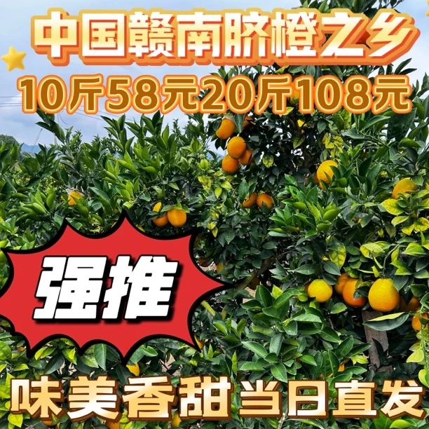 【京东包邮】正宗江西赣南脐橙当季新鲜水果鲜嫩多汁产地直发