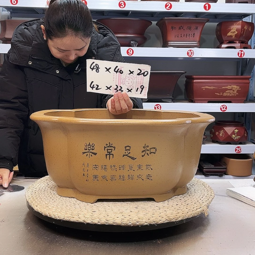 花盆紫砂紫砂花盆