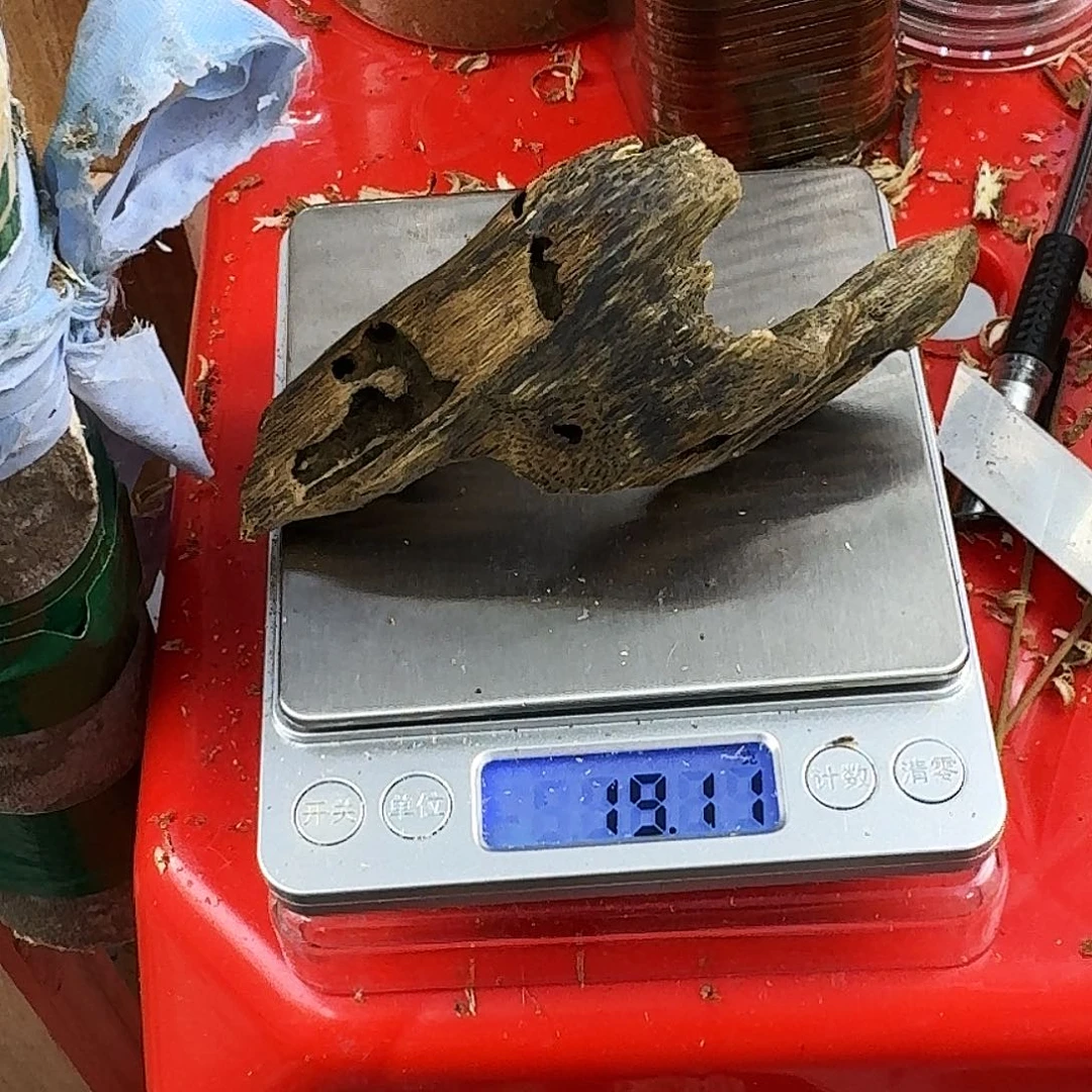 香料绿奇楠虫漏白棋19克