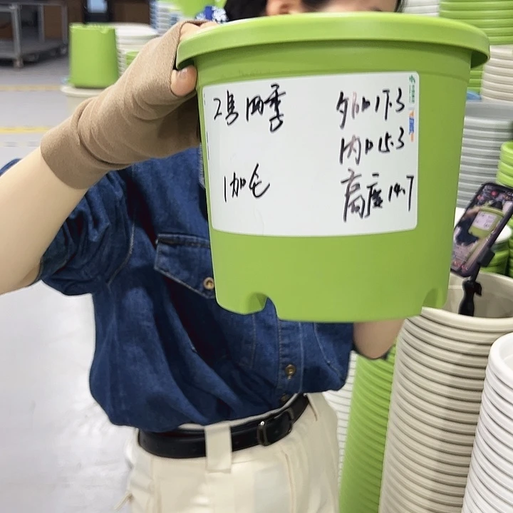 特价2号四季口17高14.7果绿无托10个