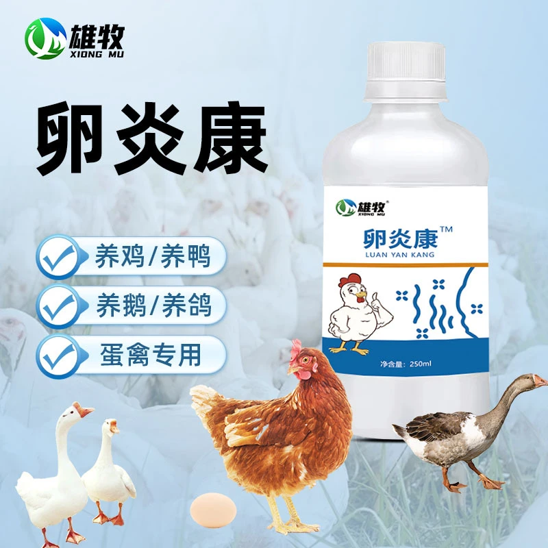 【雄牧】卵炎康鸽子鹌鹑通用饲料添加剂养殖常备