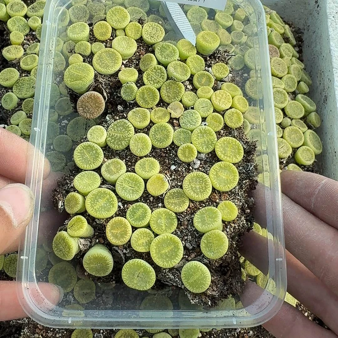 小***吗2314 哈哈哈哈哈哈哈哈