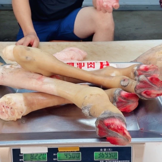 【闪购商品】冷冻保存30天包装河北省