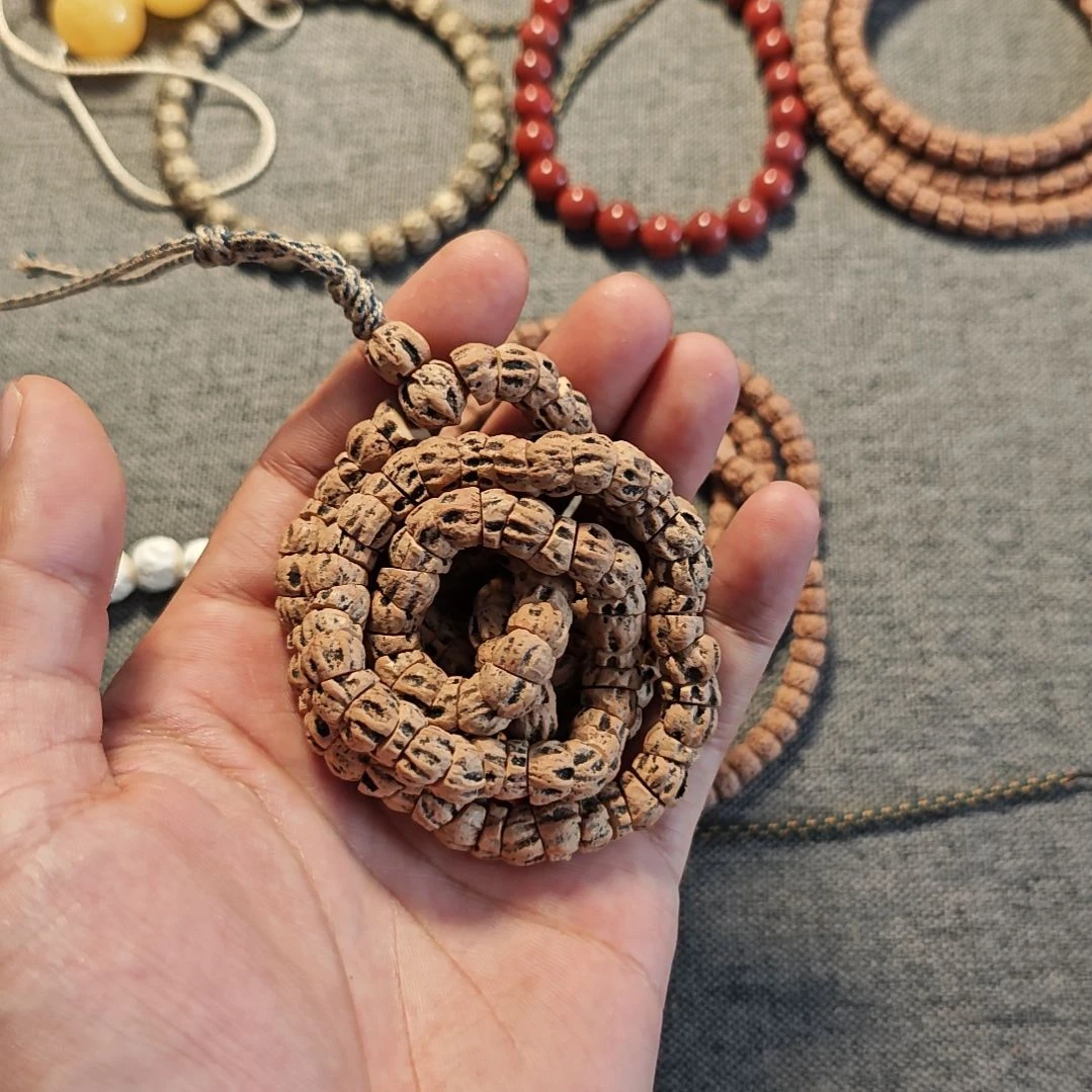 菩提热振柏香籽斜切满鬼