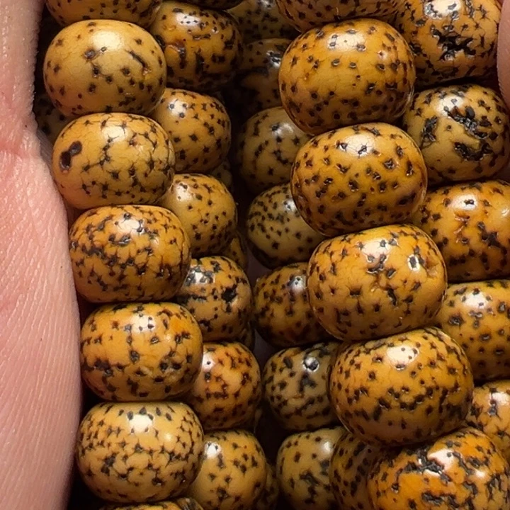 郡*～我们都会在这里等