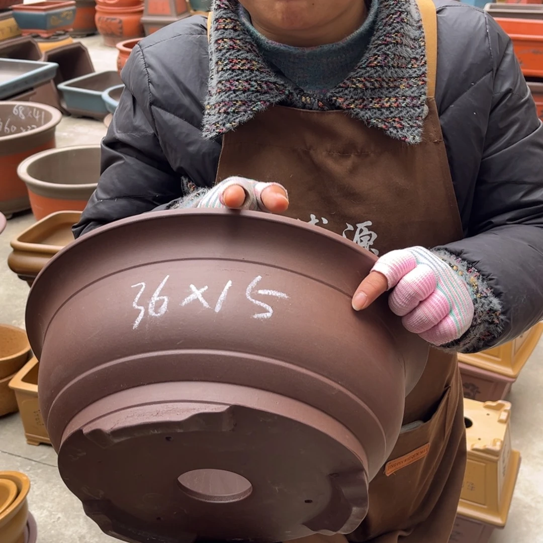 紫砂花盆盆景艺术