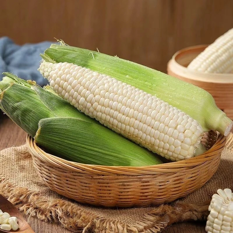 新鲜白糯水果玉米白粘玉米-5棒 大小棒都有白糯玉米