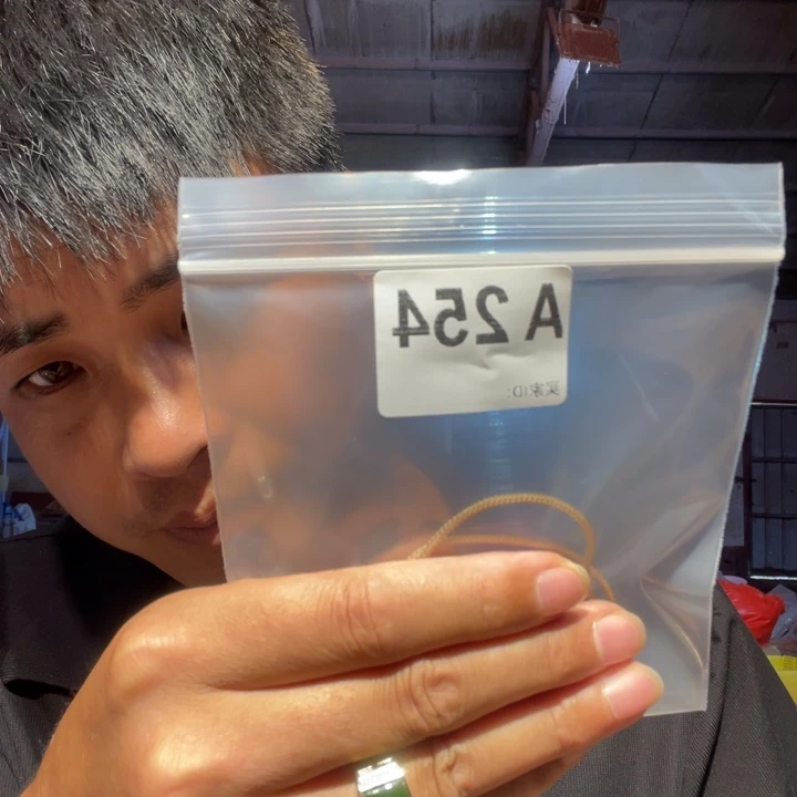 大叶紫檀（黑酸枝木类）254