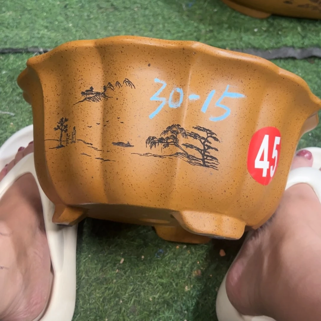 紫砂花盆紫砂花盆