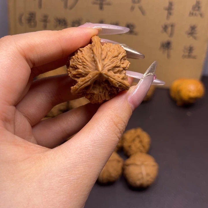 熬***狗菩提籽类三棱单只异型有瑕