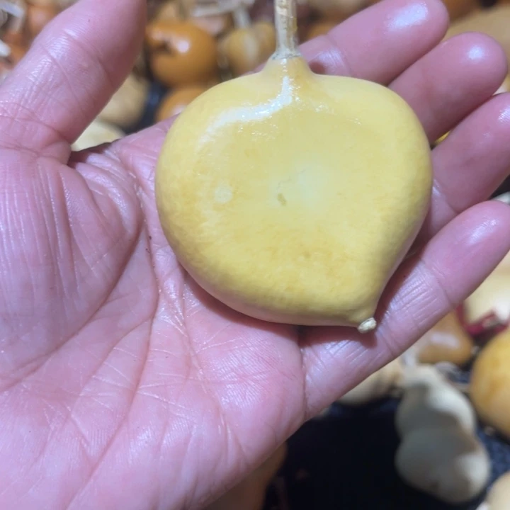 浊***酒葫芦葫哈哈哈哈哈哈