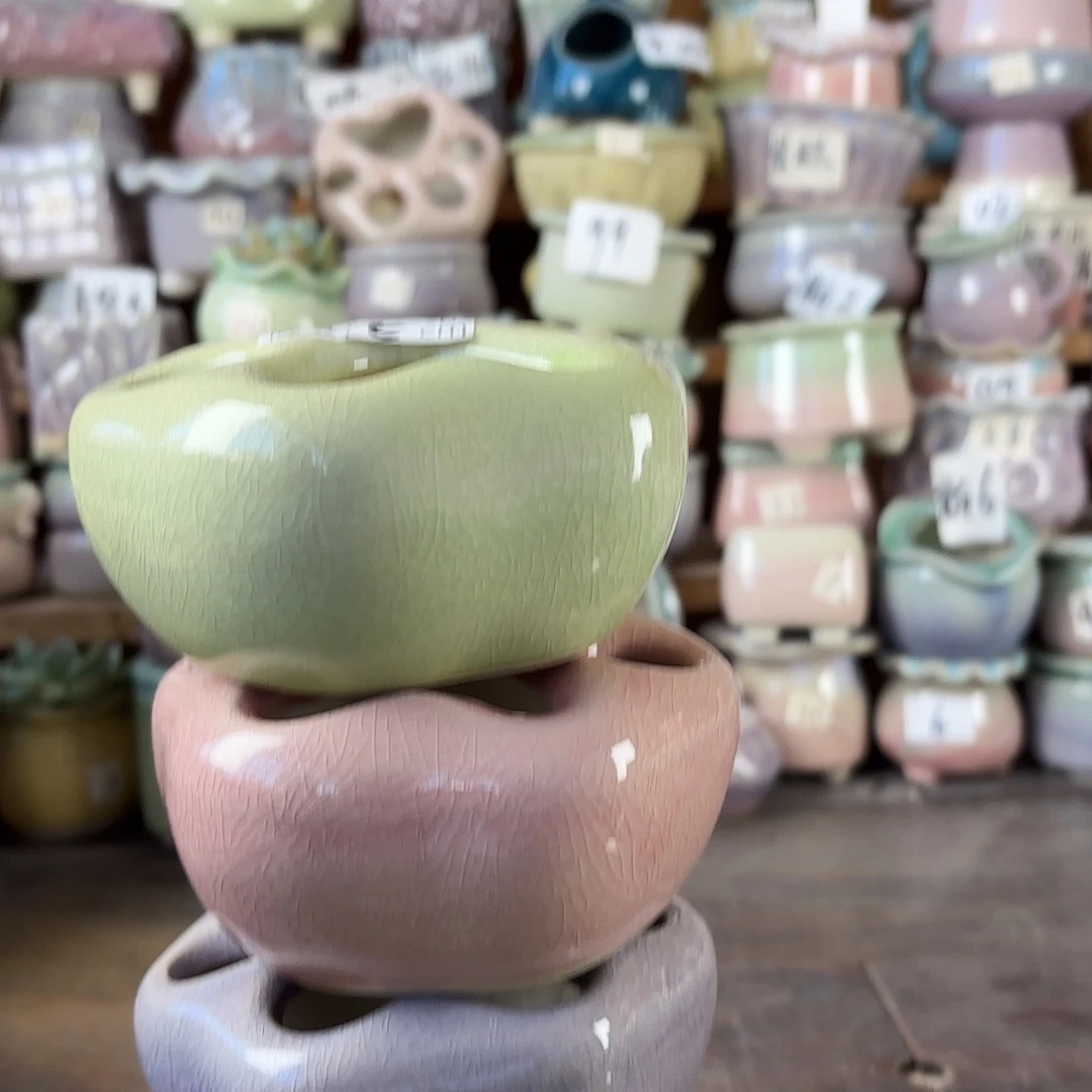 量货/口11高5深浅搭配发2