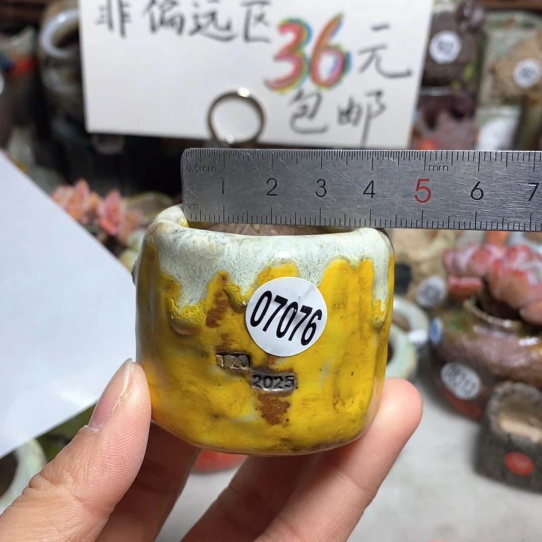 花盆拍3送一个小礼物