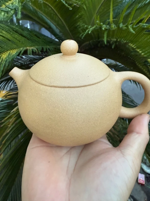 黄金段西施400cc左右瑕疵不挑