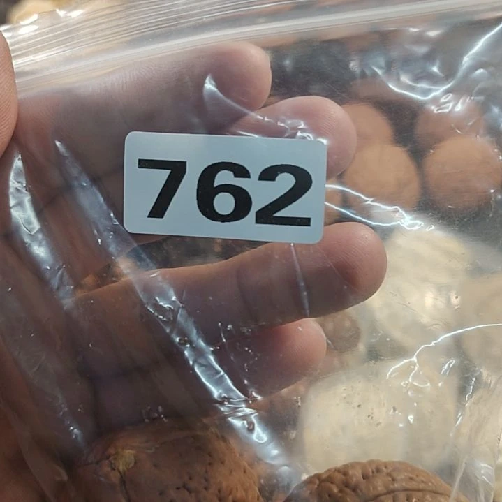 文玩核桃吊坠寬文玩核桃