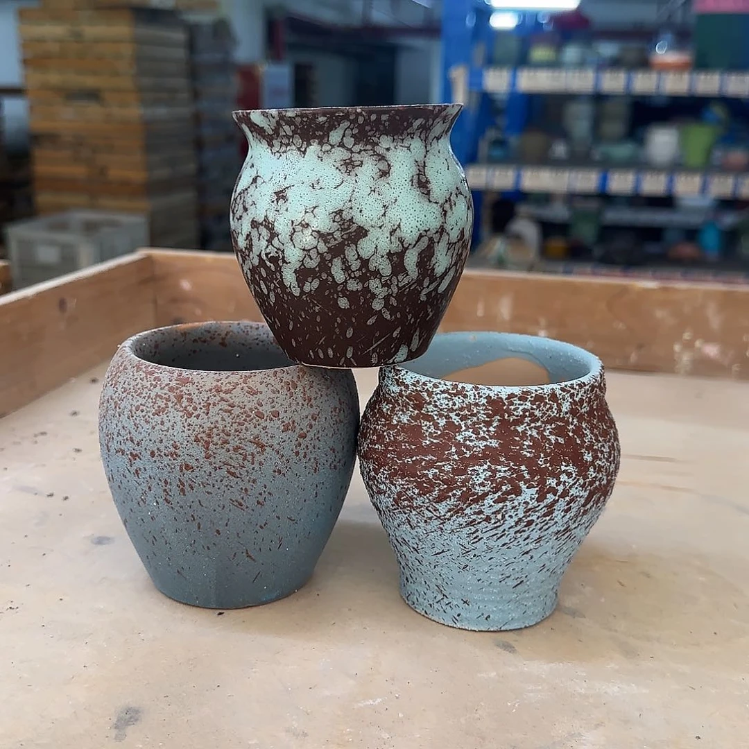 3个福利局绿植多肉盆［凑9元包邮24小时发］