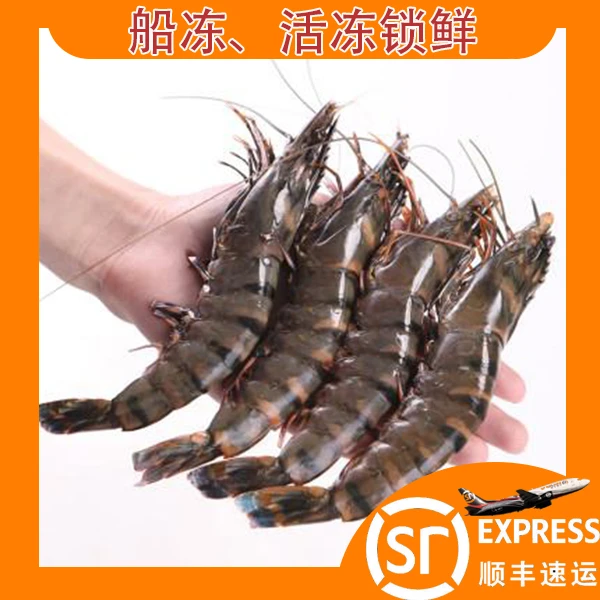 2盒装 活冻船冻黑虎虾大虾 10头一斤一盒 包鲜包肥不包活