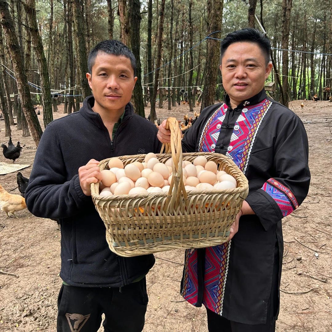 [山鸡哥]50枚土鸡蛋农家散养散放新鲜土鸡蛋现捡现发