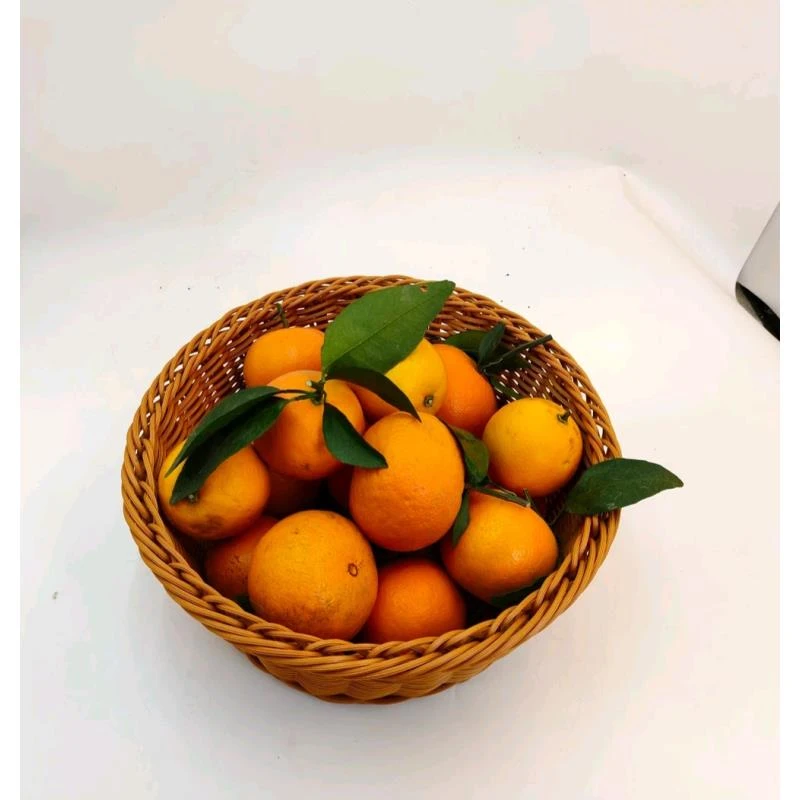 A33仿藤手工编织圆形零食盘糖果盘