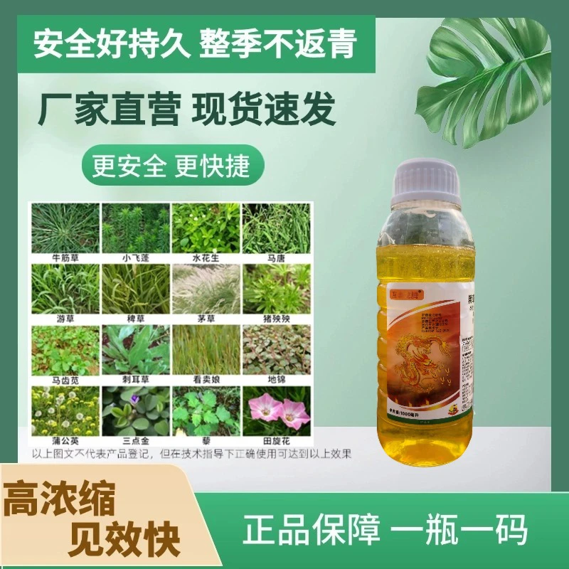高含量抗性牛筋草小飞蓬节节草果园田埂适用园林荒地强力除草剂