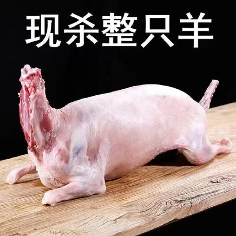 漠丫【整羊24斤起】内蒙古阿尔巴斯山羊整扇70%腿排现杀现卖