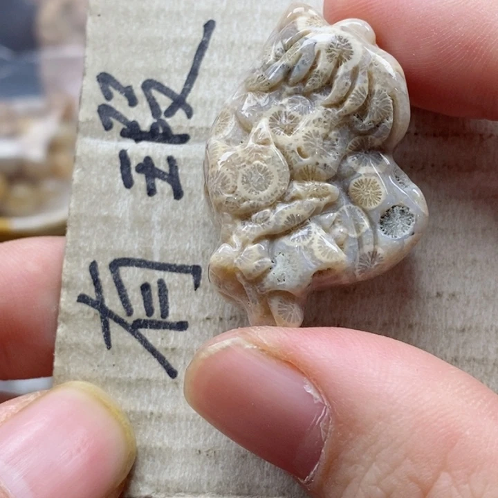 硅化珊瑚（珊瑚玉）颈饰未镶嵌