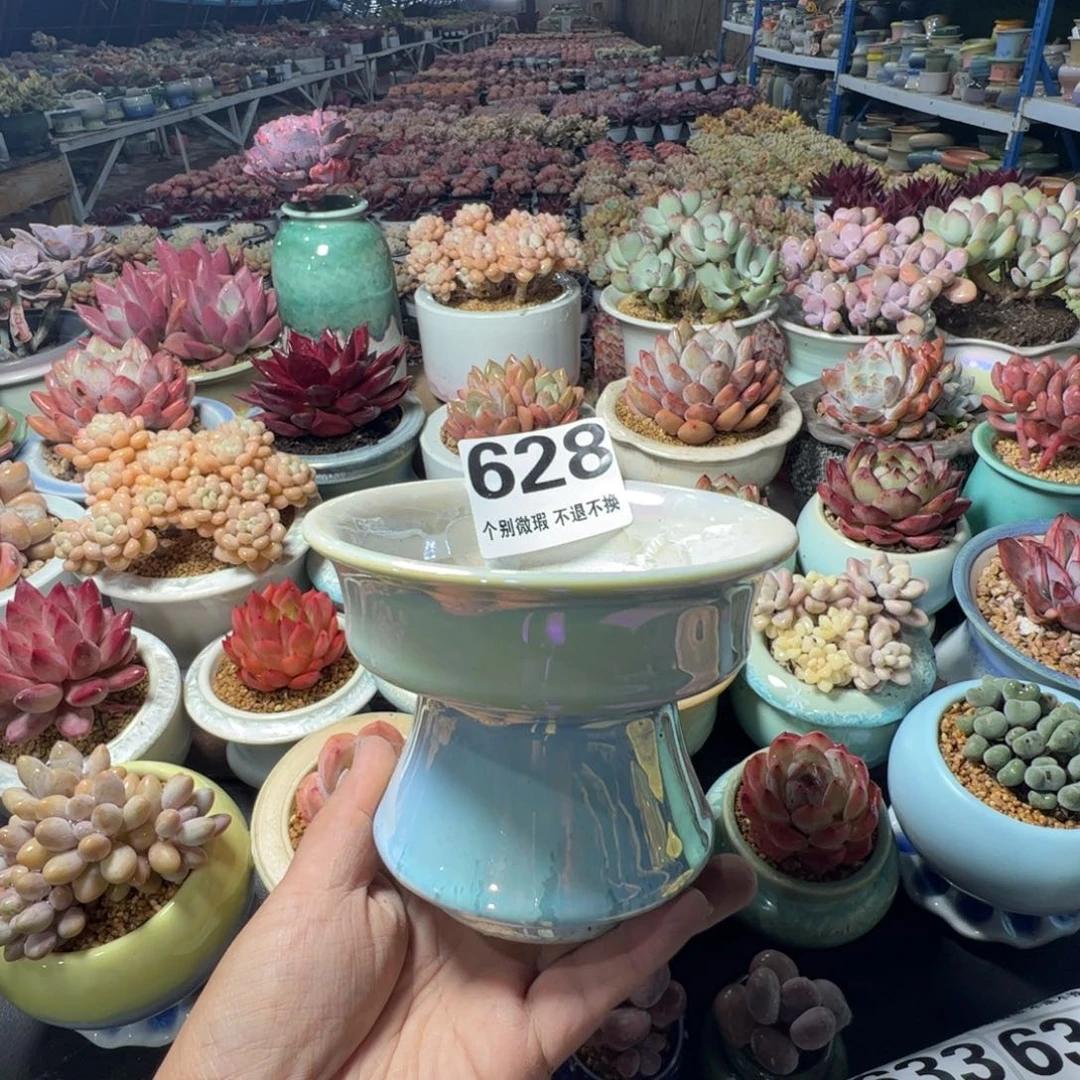 特价花盆满50发货内口11