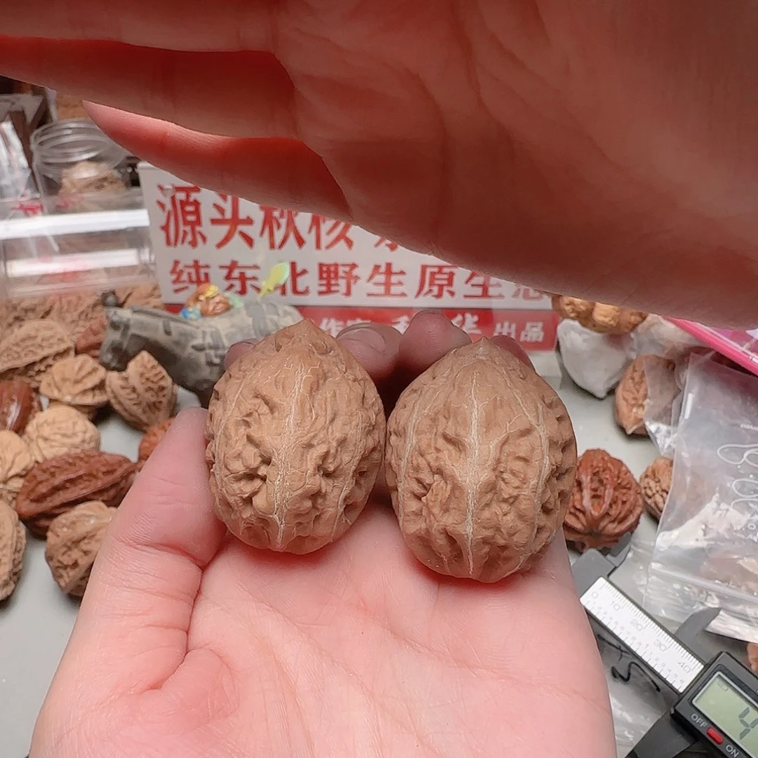 大叶紫檀（黑酸枝木类）凤凰蛋