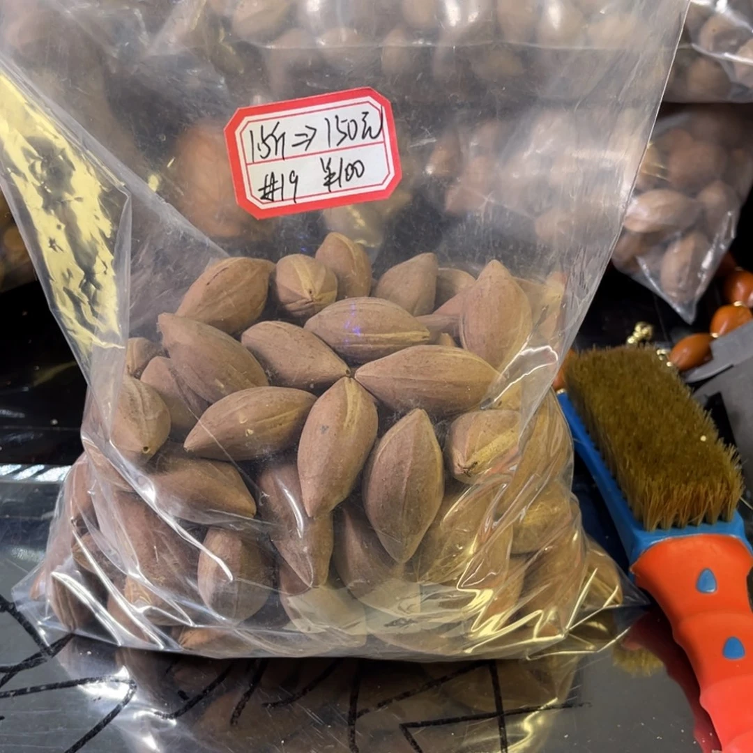 吊坠龙脊菩提没****心