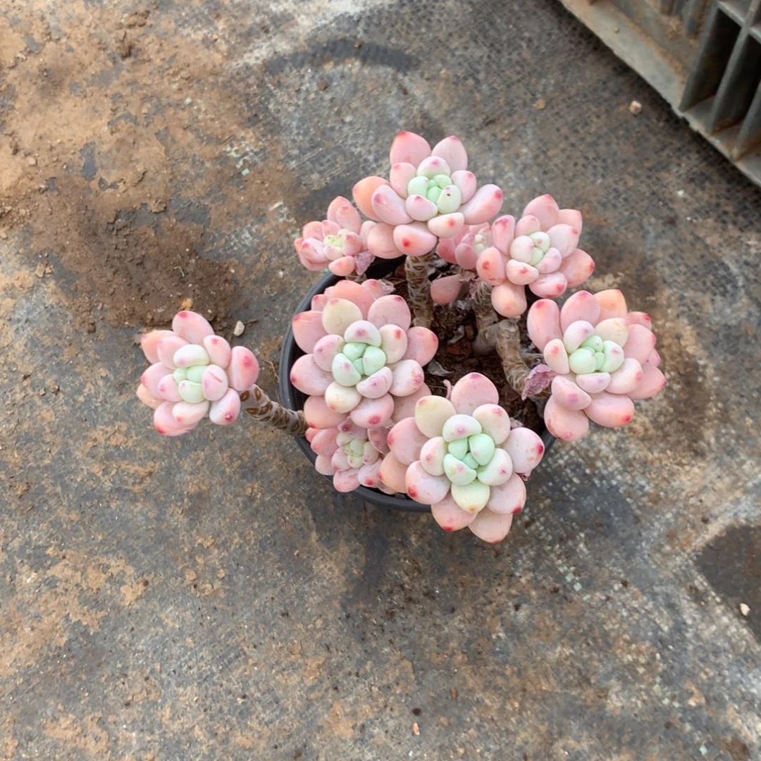 隐***名你不去上班就好哦勒