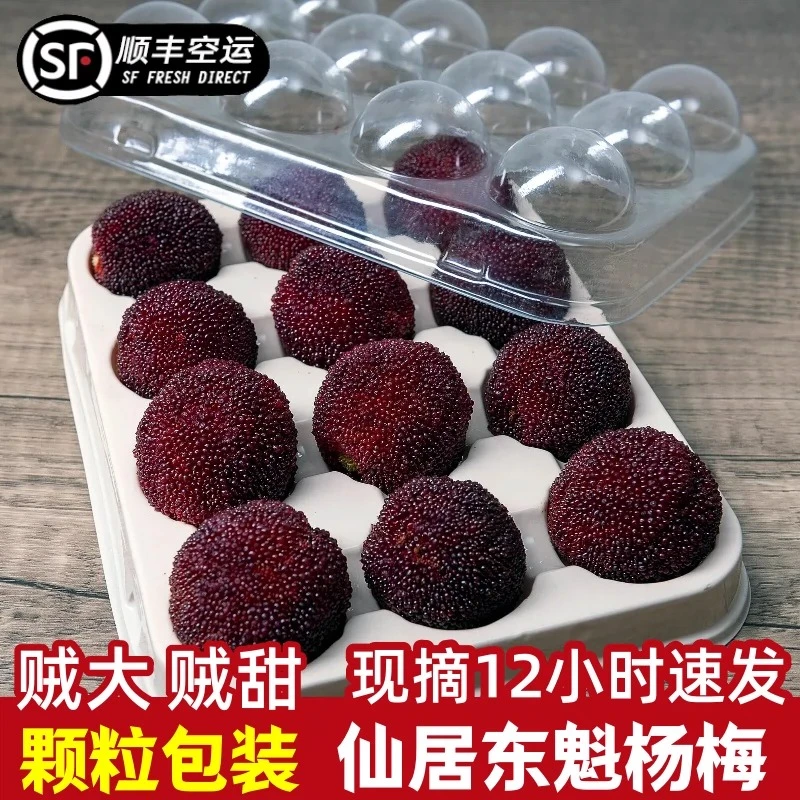 【8A级】正宗仙居东魁杨梅孕妇时令新鲜水果现摘现发顺丰冷链送礼