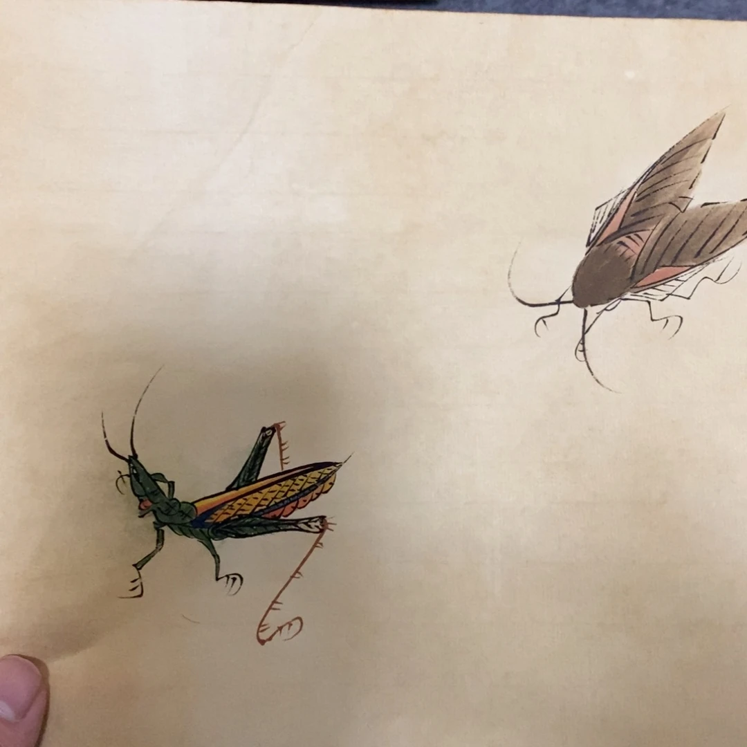 陈*弟闪购商品闪购商品