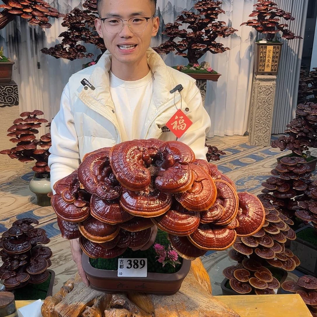 无花朵88888888888