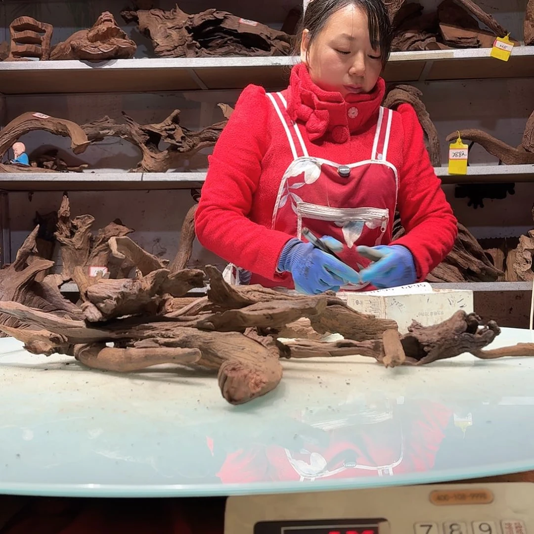 倍褚沉木不包损必褪色往****?5642紫柚枝条