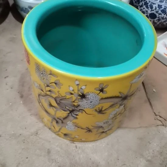 瓷片额度吗点点关注点点赞点赞点赞点赞点赞