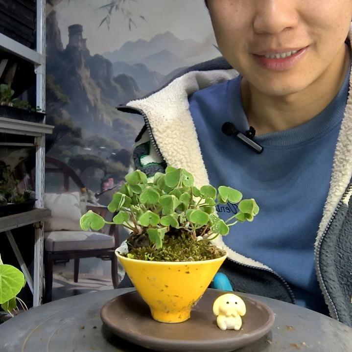 你****。中青园艺一物一拍20
