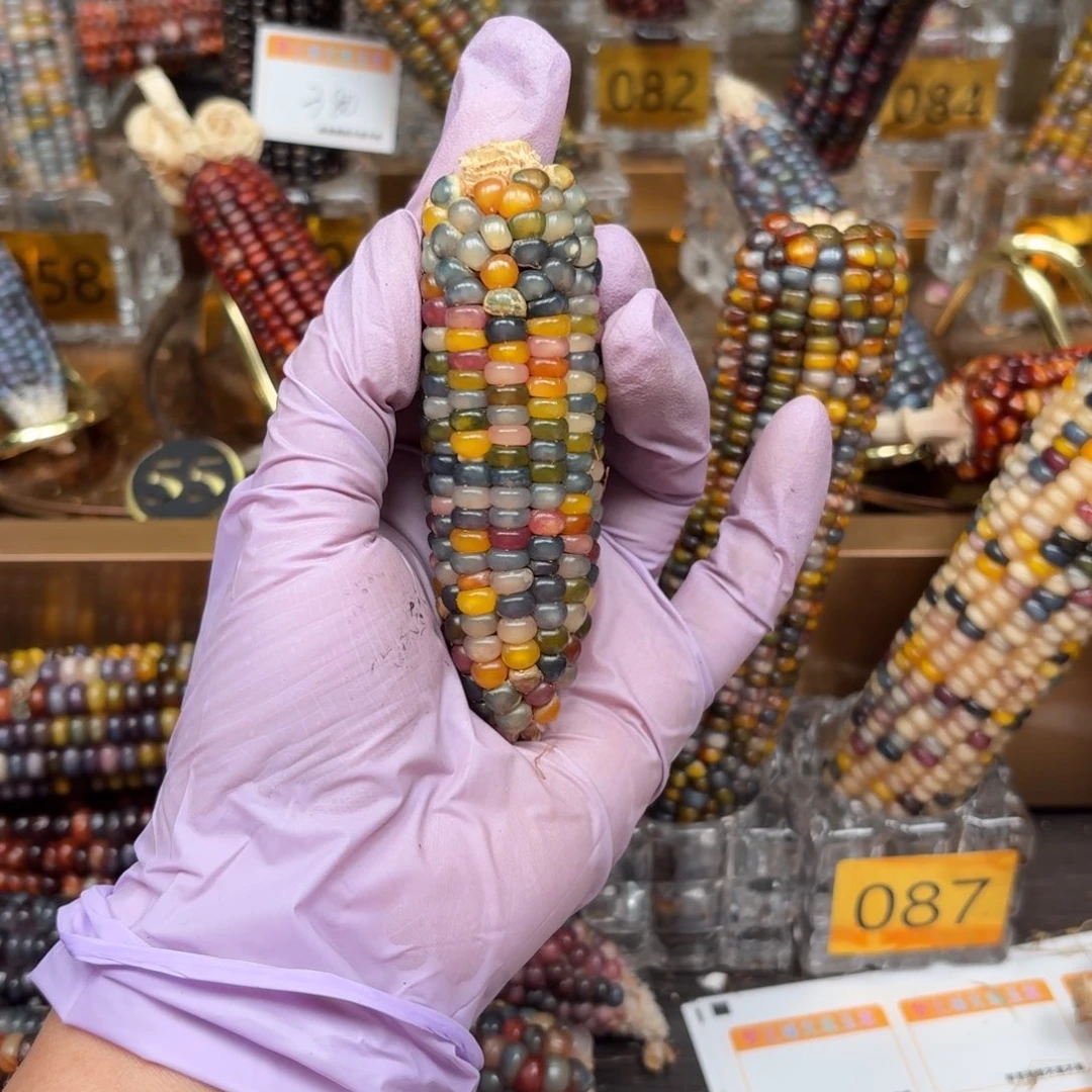 柏香籽/百香籽吊坠花*