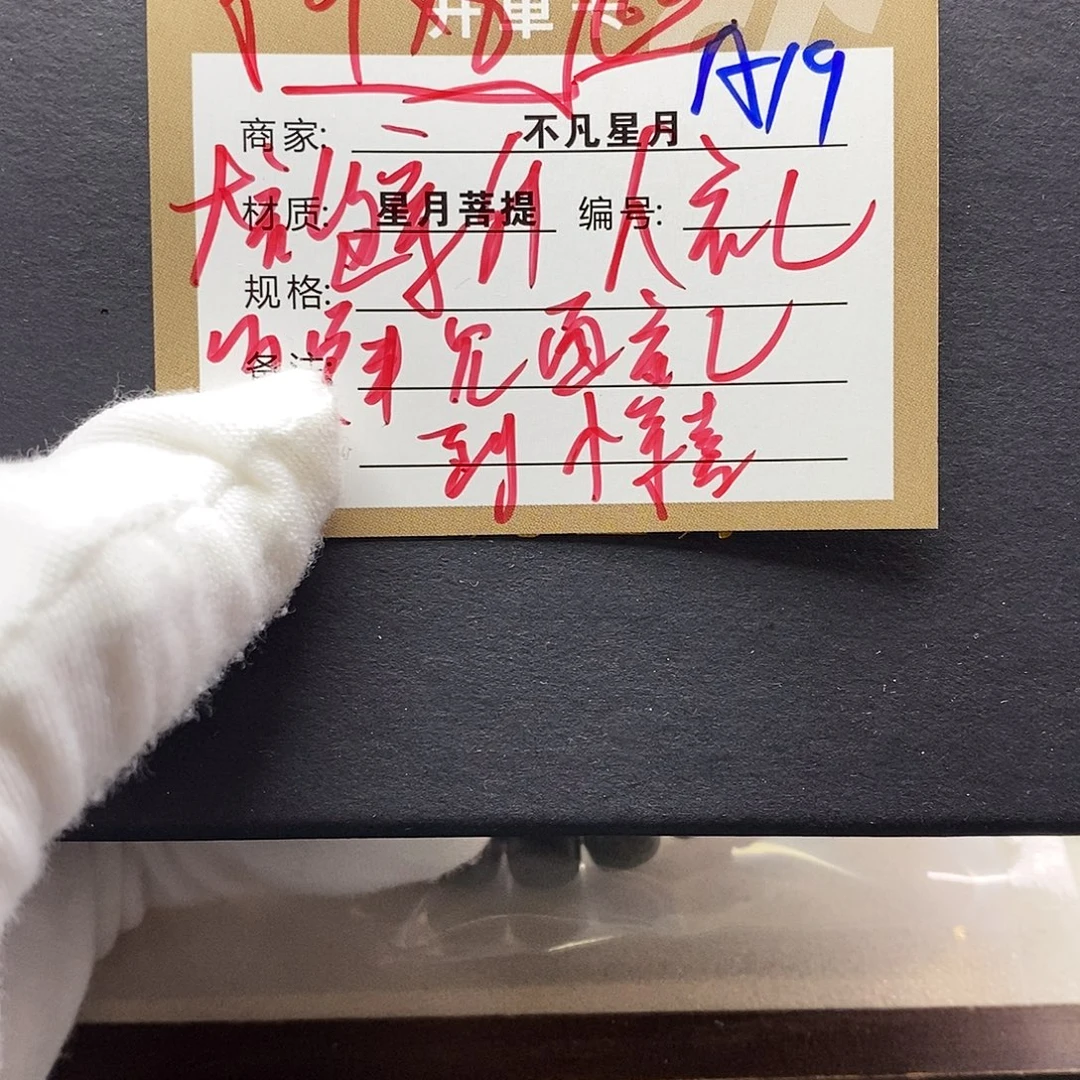 星月菩提吊坠11112222A19