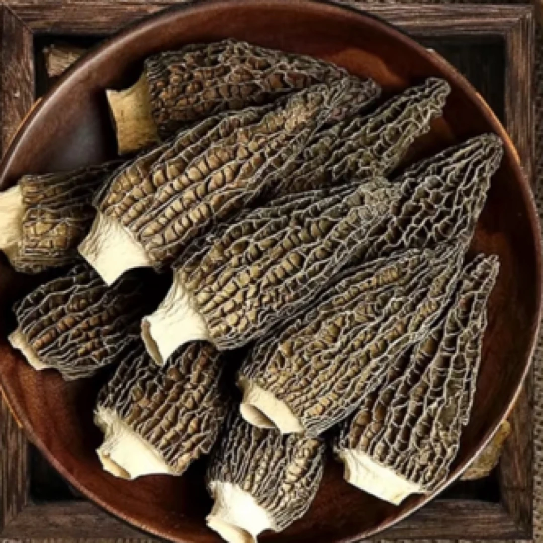 云滇山货- -羊肚菌